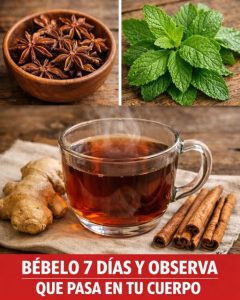 651167010 122159101652943773 2261846011584689413 n