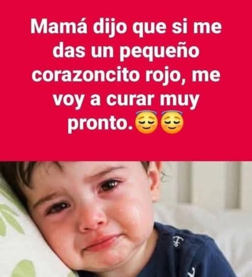 652341487 1958424084731614 7331762258724192794 n