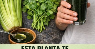 653362468 122159458322943773 8907672740435945781 n