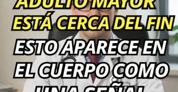 657135988 865259469896822 3817999378055472131 n