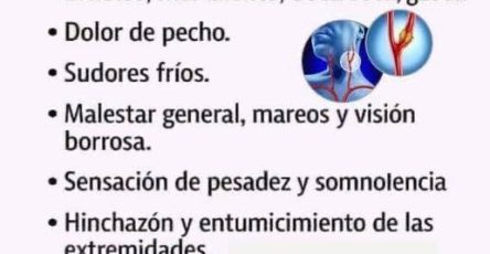 657418580 1617231009398765 4362116564396734586 n