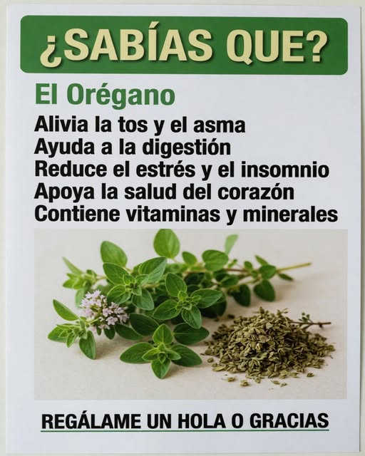 661442465 1526894026111205 8614236541344918745 n