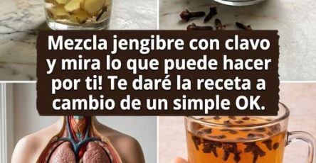 662013783 122152861070971843 7049444499765438411 n