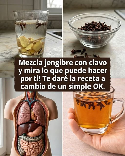 662013783 122152861070971843 7049444499765438411 n