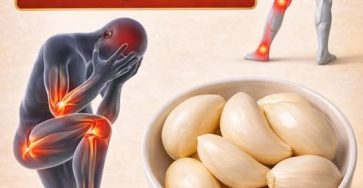 666826220 1517874236565947 7238899541415825776 n