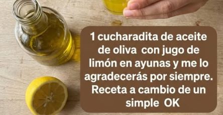 668152707 122162778854943773 390654337439326232 n