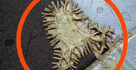 672670487 1519826706202690 981240389608482748 n (1)