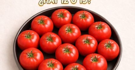 674369222 27343819245206081 5110062768207844634 n