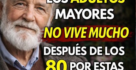 675501947 122215118468572363 7764897827949302370 n