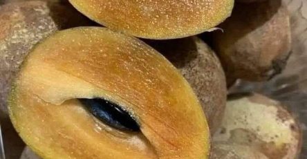 675630603 27353399127581426 4383962064476691334 n