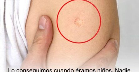 678202696 904651679243203 6700207595250468218 n