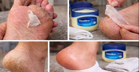 ChatGPT Image 19 dic 2025 02 27 39 p.m (1)