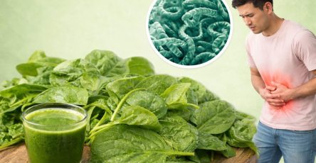 ChatGPT Image 20 ene 2026 11 20 32 p.m 1160x653