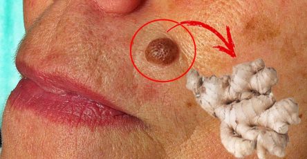 Imagen de WhatsApp 2024 04 02 a las 09.23.52 2377c935