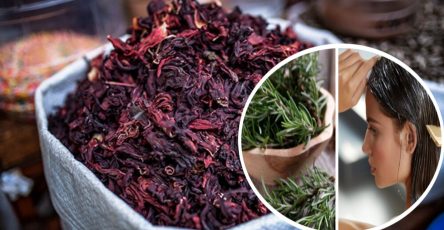 WhatsApp Image 2023 12 20 at 8.03.58 PM