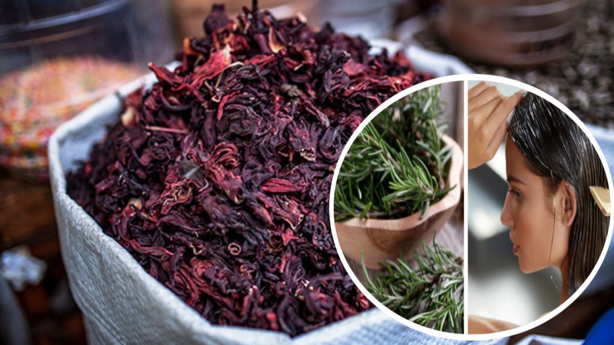 WhatsApp Image 2023 12 20 at 8.03.58 PM