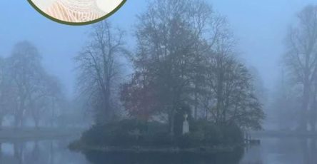 WhatsApp Image 2026 04 19 at 01.03.11