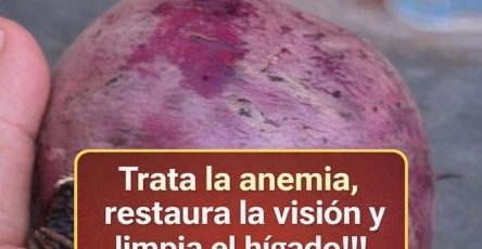 WhatsApp Image 2026 04 19 at 02.05.19