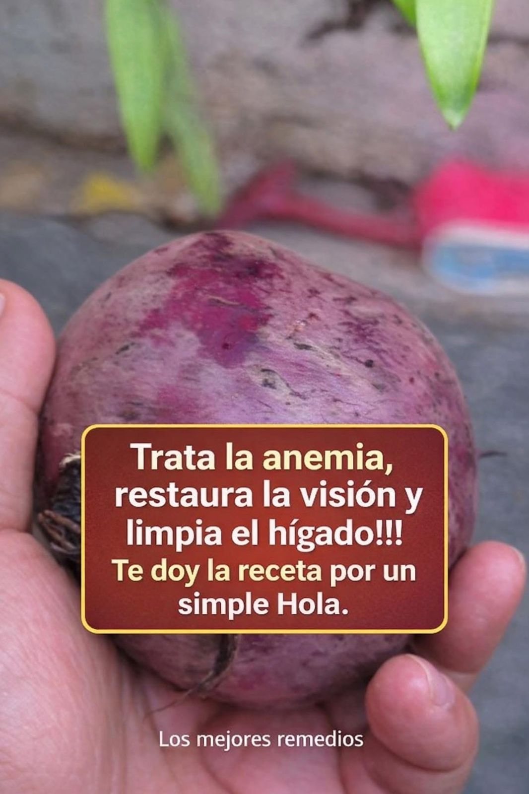 WhatsApp Image 2026 04 19 at 02.05.19