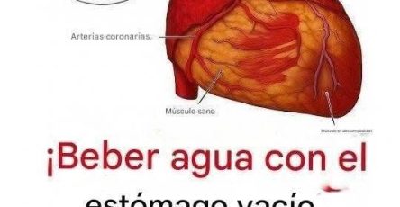 WhatsApp Image 2026 04 19 at 02.52.44