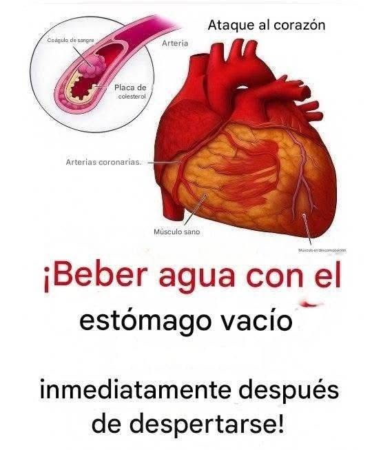 WhatsApp Image 2026 04 19 at 02.52.44