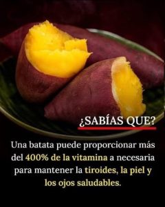 WhatsApp Image 2026 04 19 at 05.31.17