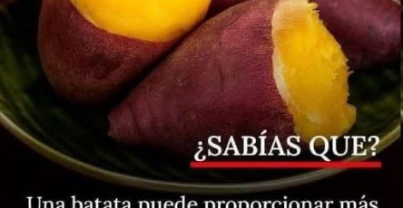 WhatsApp Image 2026 04 19 at 05.31.17