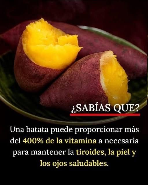 WhatsApp Image 2026 04 19 at 05.31.17