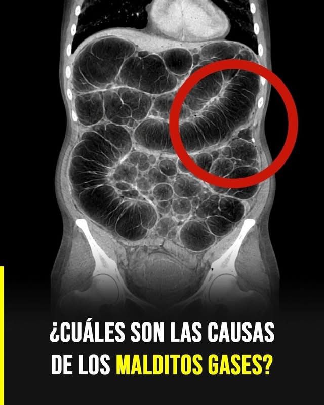 WhatsApp Image 2026 04 19 at 16.22.35