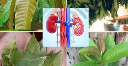 C72b79d5 aaa8 4b78 b53d 89229f0b1fa4