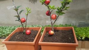 Maxresdefault 2 1024x576