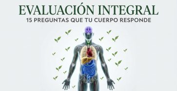 Cuerpo humano con sistemas internos