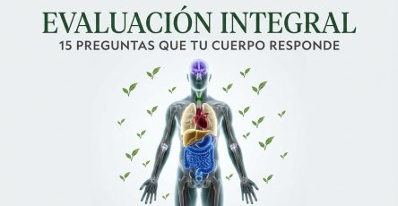 Cuerpo humano con sistemas internos