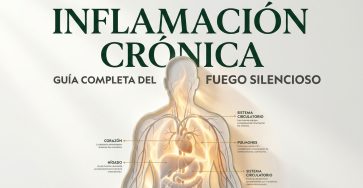 Inflamacion cronica guia completa
