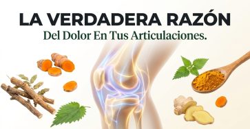 Rodilla humana articulacion curc…