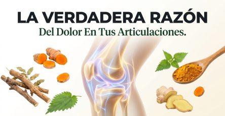 Rodilla humana articulacion curc…