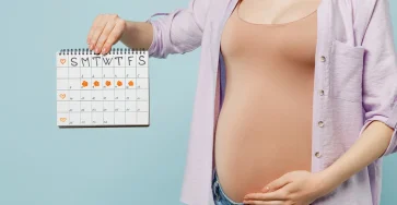 Date de conception