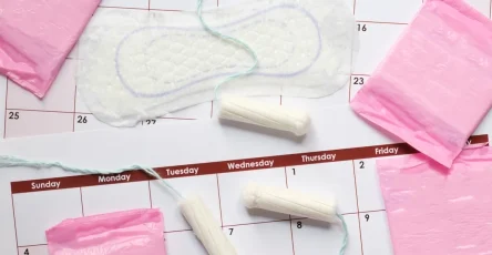 Falta de menstruacao nem sempre e sinal de gravidez 53788 (1)