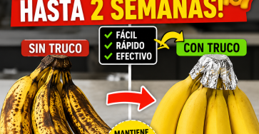 File 000000007eac7246b3d7a2724cd9c198