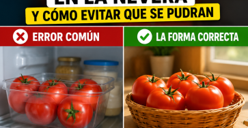 File 00000000fe1c724698cfa89ebfe765fc