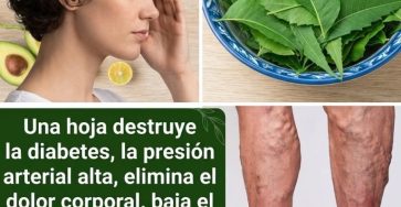 401A6C32 FA38 41E7 A5DB EBAD121E2FD3