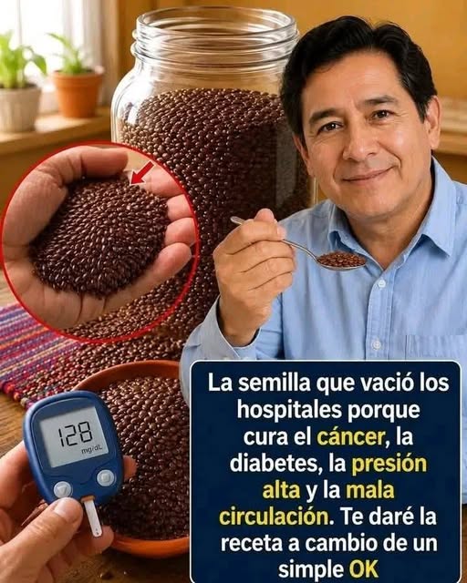 851BDFA6 A553 4D41 A9F0 22ACB644D18E