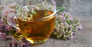 Cha de oregano