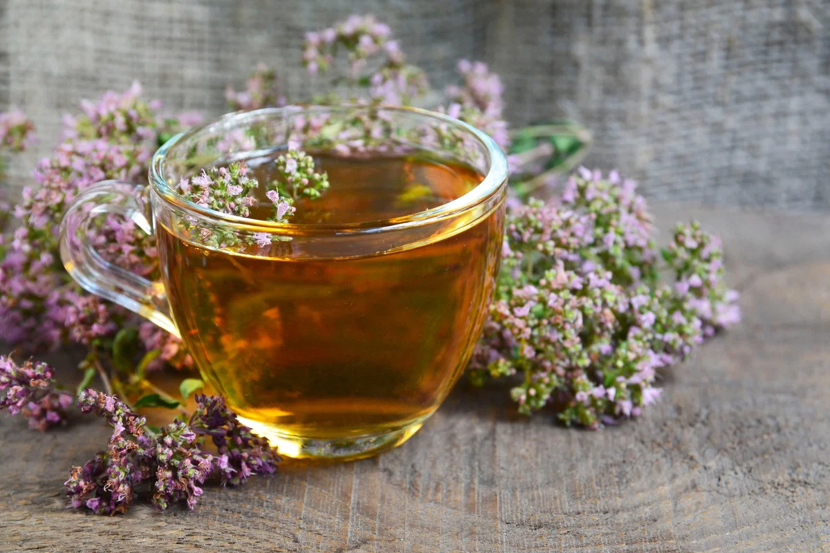 Cha de oregano